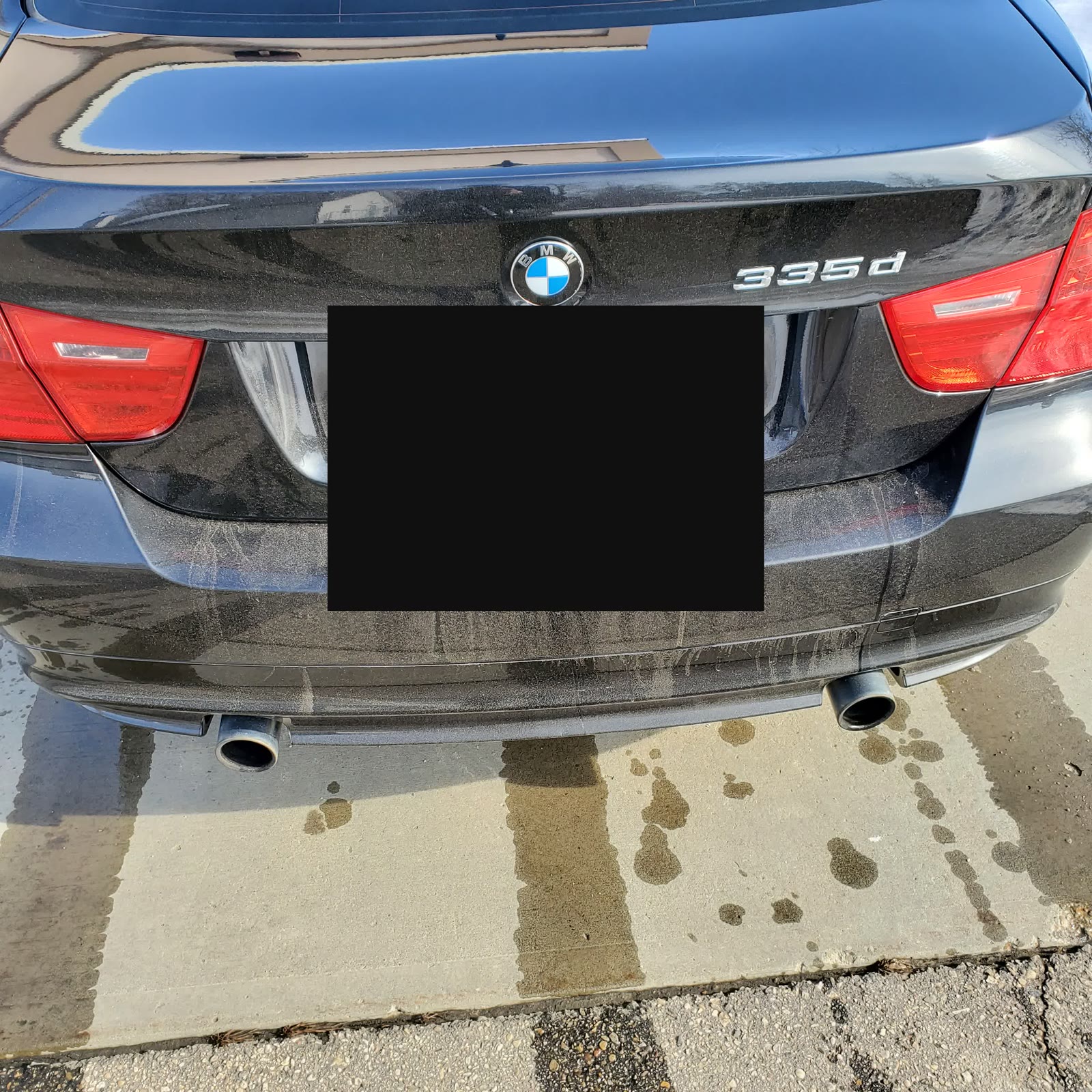 Betsy rear badge close-up — plate redacted